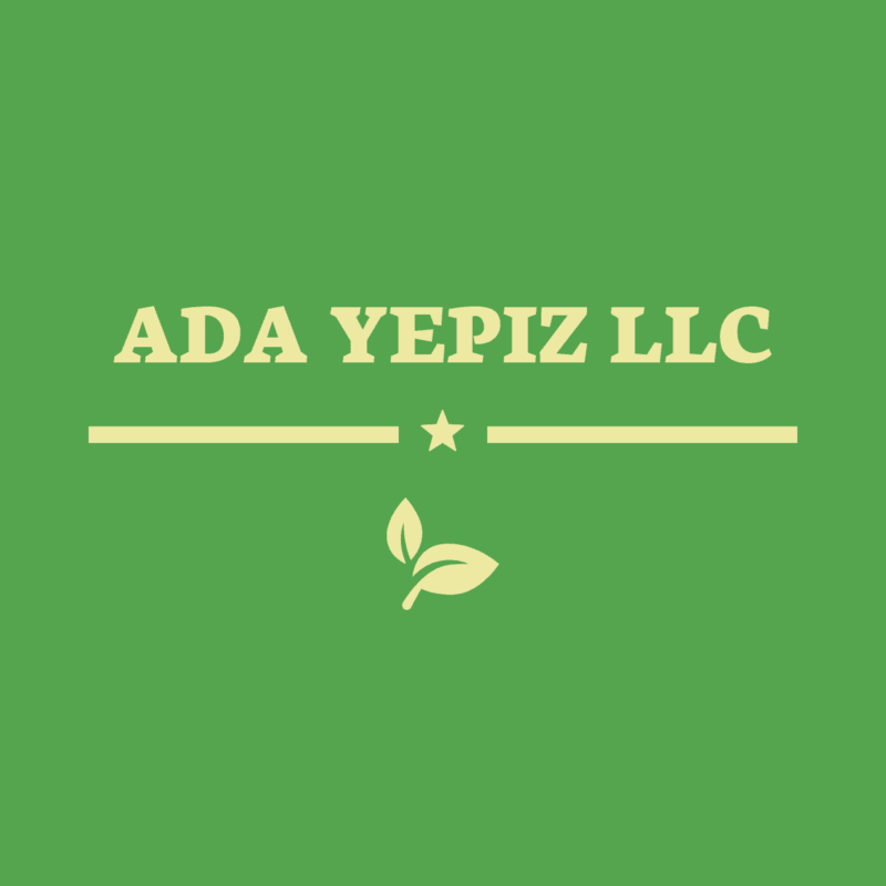 ADA YEPIZ LLC